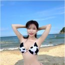 맥심