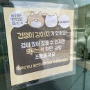 에비뉴1661