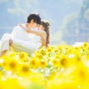 다모아결혼정보 이미지