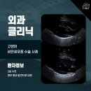 로로동물병원 | 공릉동물병원, 고양이 비만세포종 조기 발견과 수술로 건강을 지킨 사례
