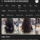 현애견미용실 | 센텀에코레비 현 디자이너 100%리얼리뷰후기