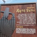 경북 성주 "대가천계곡 무흘구곡 탐방 " ( 5. 10 ) 이미지