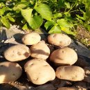 산우물농장 이미지