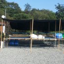 성호농원 이미지