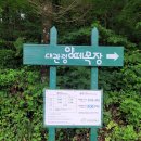 솔가지목장 | 비염환자의 일상: 서울 아산병원 이비인후과 진찰후 일주일 건강관리 셀프체크