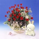 (유)정향 이미지