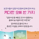 오션시티동물병원 이미지