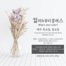 시가자도 이미지