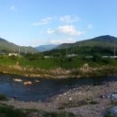 진이민박 이미지