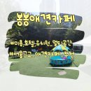 봉봉애견카페호텔 이미지