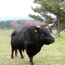 방주축산 이미지