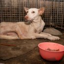 종식농장 이미지