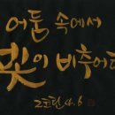 로고스 Daum카페