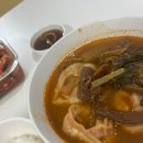 가마솥 국밥 | 코스트코 본죽 본소고기 가마솥 국밥 재구매 후기!!