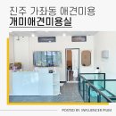 개미애견미용실 이미지