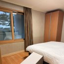 백신당구장 | [숙소] 고성 ‘소노벨 WEST 델피노_스위트 Pet Friendly 스탠다드’로 겨울 가족여행 다녀온 후기