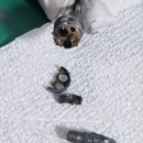에스엠메디칼 - 부천시 원미구 부일로233번길 18 | 에스엠메디칼