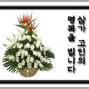 (주)토호식품