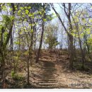 금남면사무소 이미지