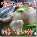 공릉동 닭한마리 티스토리