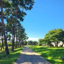 번창행정사 이미지