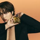 베르사체 이미지