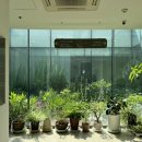 연세봄산부인과의원 이미지