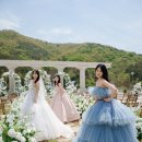 더샤인 네이버블로그