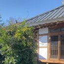 지극히 개인적인 별장 이미지