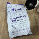 포캣 | 고양이 다이어트 사료 추천 본아페티 슬림앤조인트케어포캣 급여후기