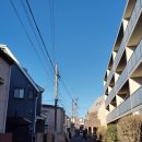 (주)한국피셔과학 | [Tour] #141.마이리얼트립 어린이 도슨트 후기-#82.일본과학미래관/ 2026년 새해 첫 도슨트