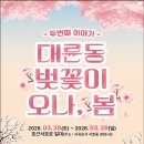 금강산세탁소 | 서귀포 대륜동 벚꽃 축제 실시간 후기: 벚꽃 명소부터 먹거리까지