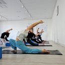 22-C | 흥덕 H요가원 | 11월 22일 C-Yoga 3번째 수련 후기