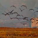 취평2길 이미지