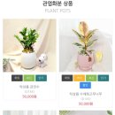 두배로할인마트 이미지