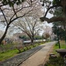 신상근린공원 이미지