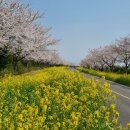 사기리 목장 이미지