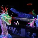 율포솔밭해변1 이미지