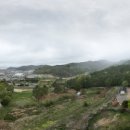 오량초등학교 이미지