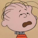바시필라테스 - 동구 동대구로 413 | 바시필라테스