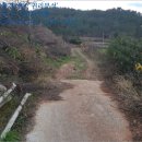 신지면-2 이미지