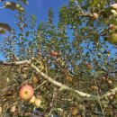 구월농장 이미지