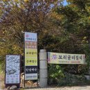 학산영동로1 | [웰니스 in 충북] 힐링과 미식이 함께하는 충북 영동으로의 하루 여행