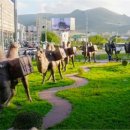 영상으로 떠나는 힐링여행 이미지