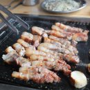 쫄면돼지