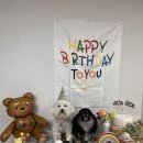 듀잇(deww-it) 이미지