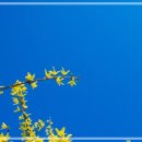 점핑유앤아이 | 건강에 좋은 유산소 운동을 집에서는 할 수 없을까? 집에서 할 수 있는 유산소 운동!