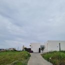 유어스프링 | 제주도 조천읍 감성 독채 숙소_유어스프링(your spring B)