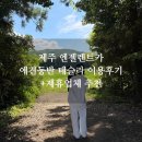 애견동반 제주 엔젤렌트카 테슬라 이용후기 제휴업체