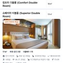 풀이파리 | 파리 숙소 후기, 레 자르댕 드 마드무아젤 앤 스파, 5박 6일 내돈내산 후기
